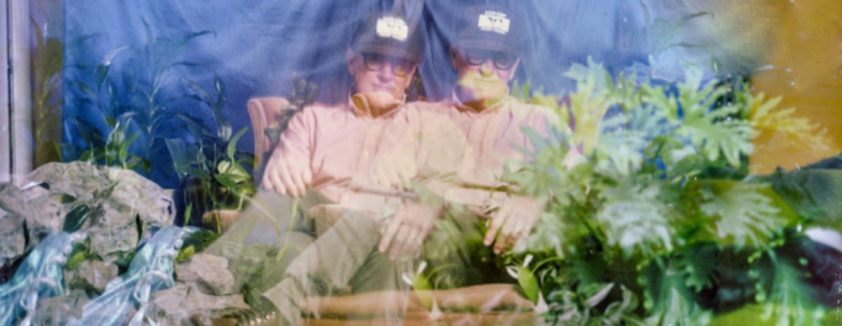 Lambchop offers "The Last Benedict" ahead of new album Showtunes, out Friday