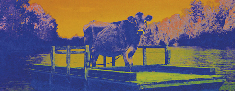 William Tyler’s stirring score for First Cow out digitally Friday, with LP to follow in July