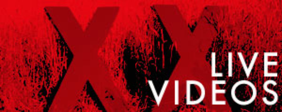 A plethora of XX Merge video at Babelgum!