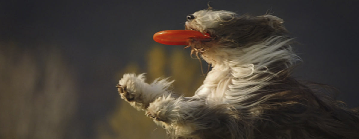 Out now: Caribou "You Can Do It"