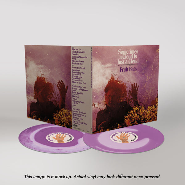 fruit bats sometimes a cloud front gatefold1_Disclaimer.jpg