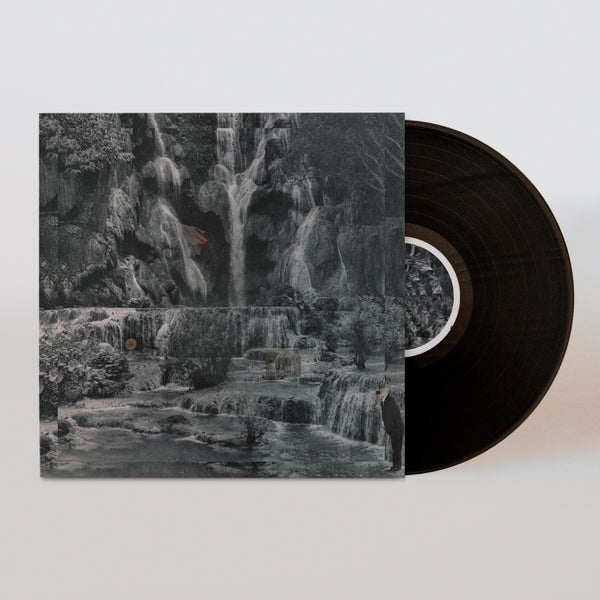 897_lambchop_LP1.jpg