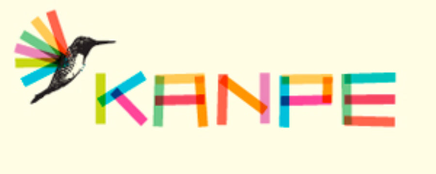 Arcade Fire pledge support to Haitian initiative KANPE