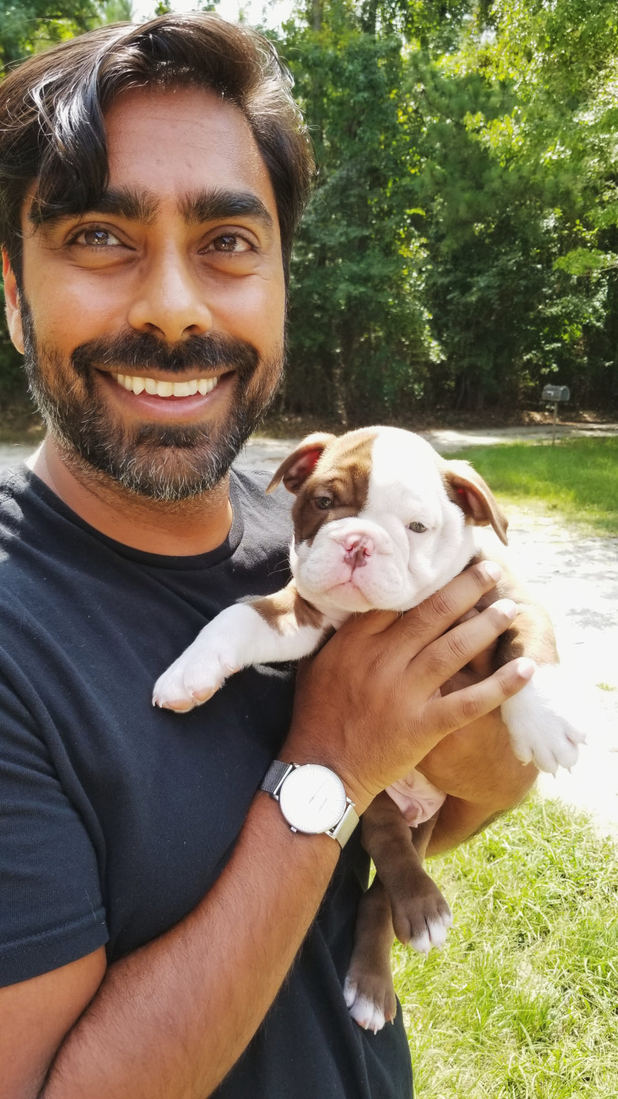 2018 Year End Lists: Shil Patel, Tiger Bomb
