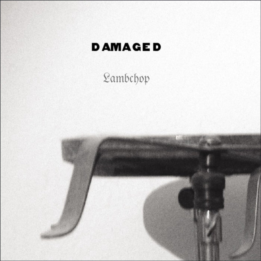 urlupload/https://www.mergerecords.com/stuff/contentmgr/files/0/f308b3d89d23eb4e058438488d718b36/image/284_lambchop_damaged.jpg