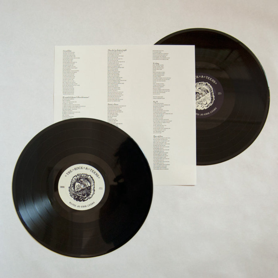 urlupload/https://www.mergerecords.com/stuff/contentmgr/files/5/9d40eb2edb908d346c5eb9b4eccc6163/image/181_rockateens_lp3_700px.jpg