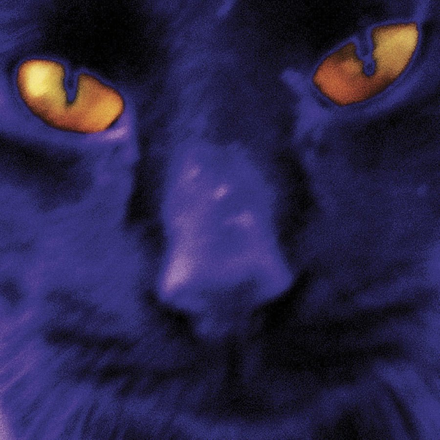 urlupload/https://www.mergerecords.com/stuff/contentmgr/files/10/e5aa3c2d4a5ea7ccd7b0262c9e1d4000/image/688_davidkilgour_bobbiesagirl_1400.jpg