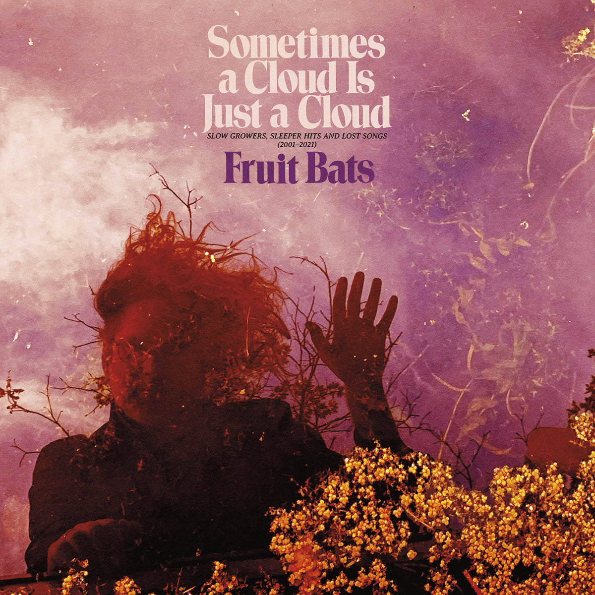 773_fruitbats_sometimesacloud_1400.jpg