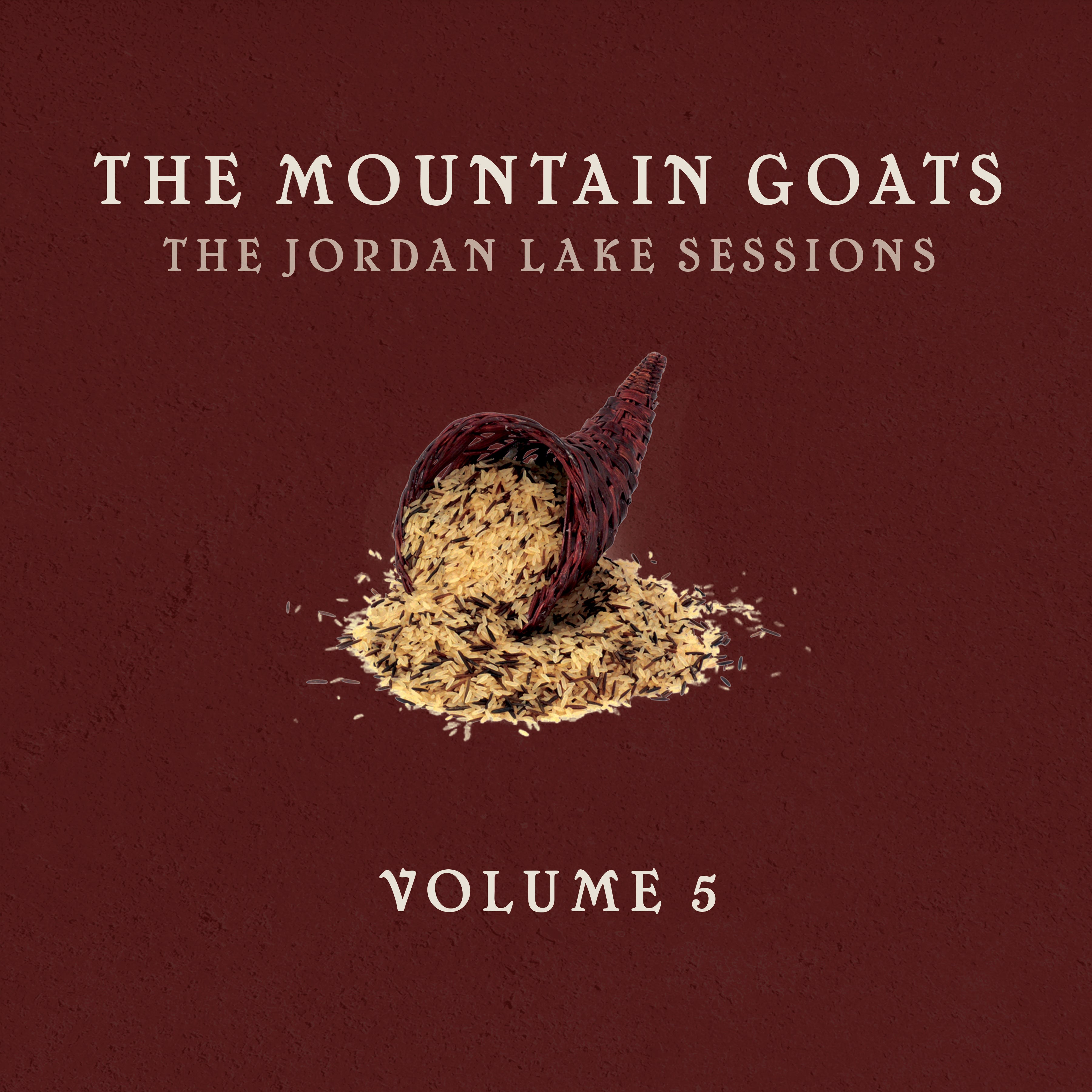 the Mountain Goats - Transcendental Youth | Merge Records
