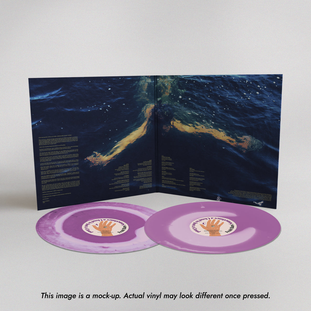 Fruit Bats Sometimes a cloud inner gatefold_Disclaimer.jpg