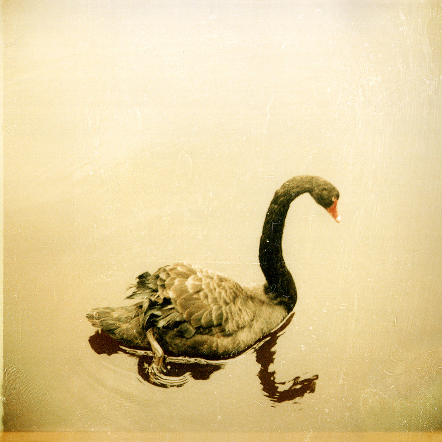 Crooked Fingers - Crooked Fingers (Reissue)