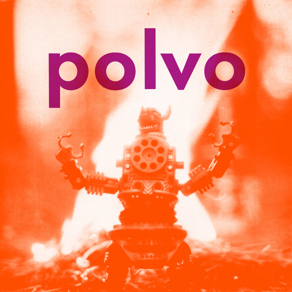 710_polvo_st_3600.jpg