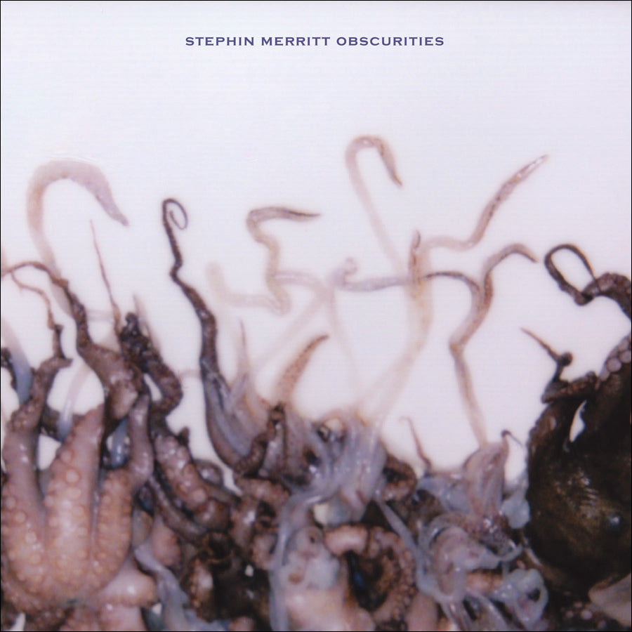 urlupload/https://www.mergerecords.com/stuff/contentmgr/files/0/4c04a701cb63e52ef98c44b45cfbb275/image/430_stephinmerritt_obscurities_cvr.jpg