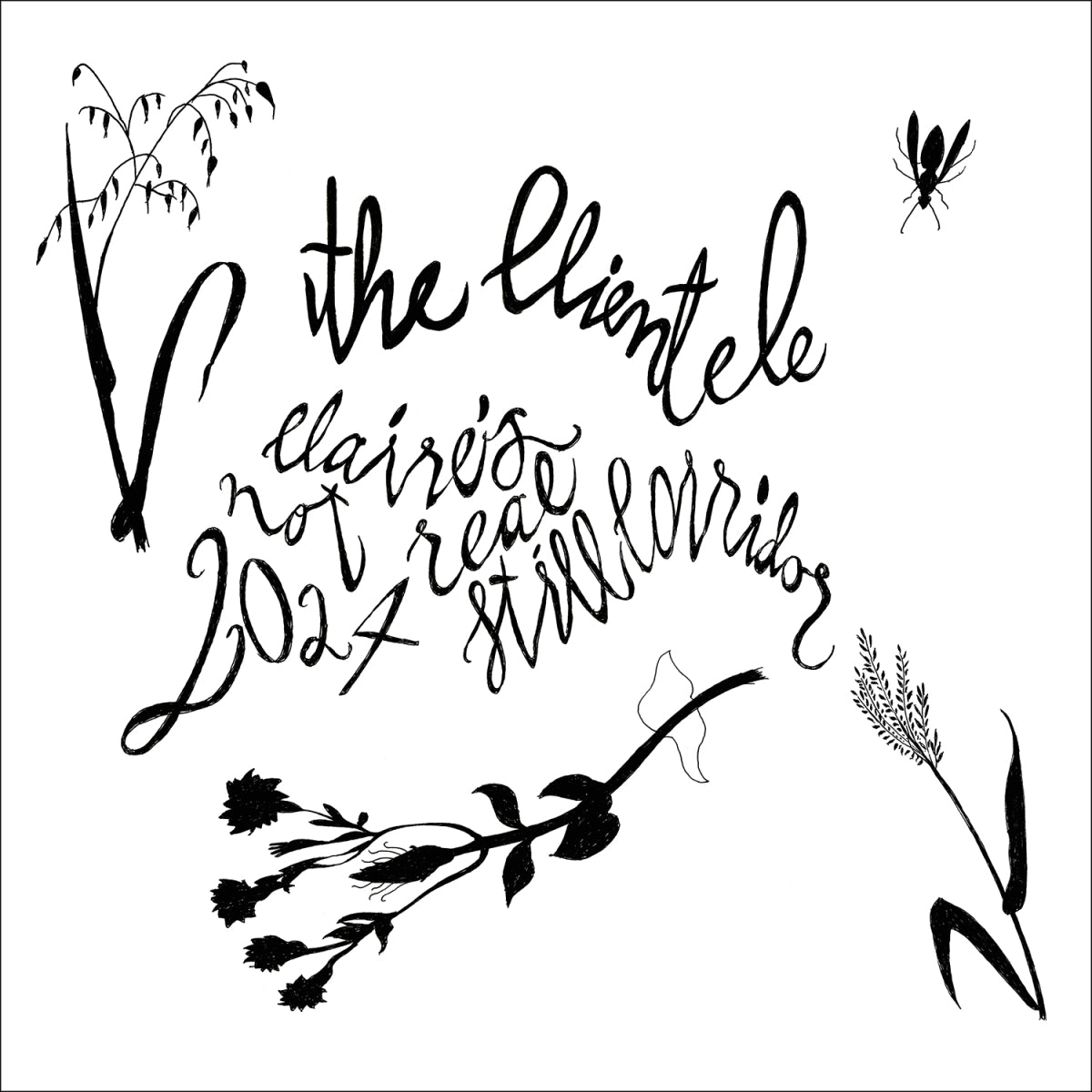 847_theclientele_clairesnotreal_1500border.jpg