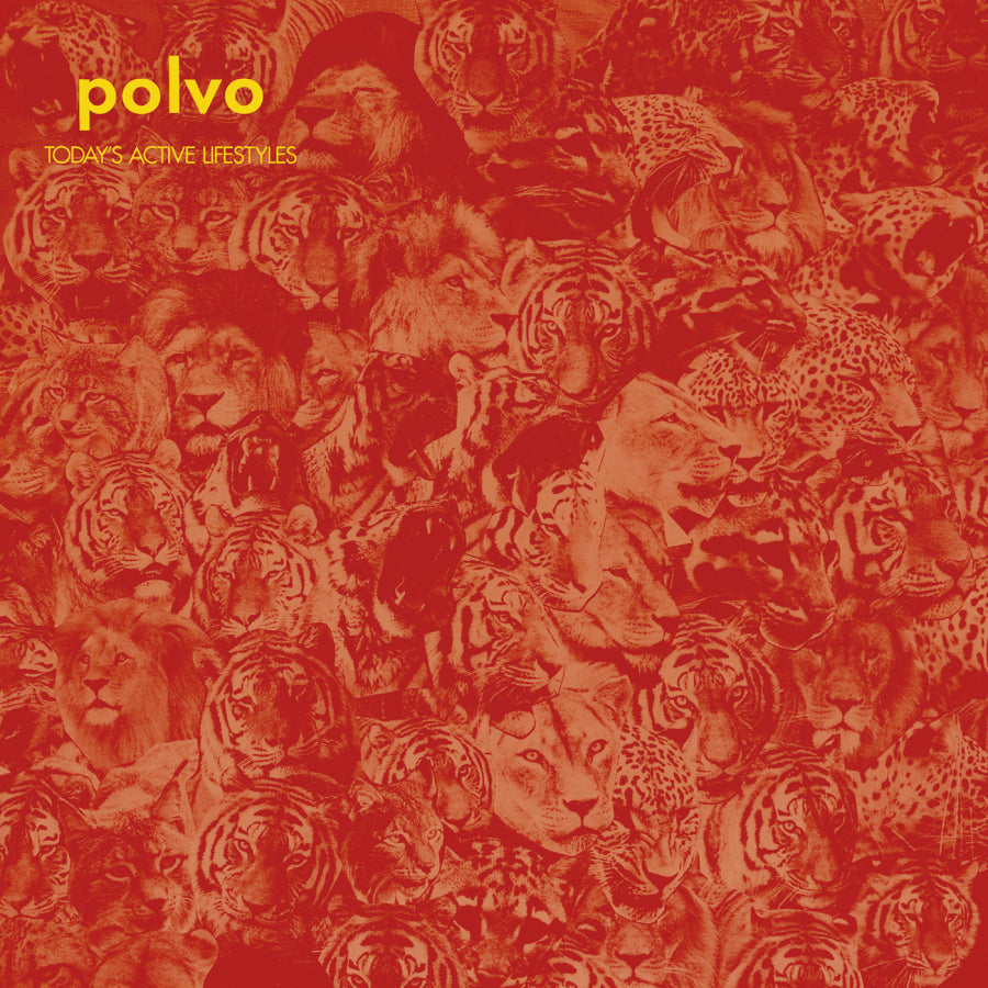 urlupload/https://www.mergerecords.com/stuff/contentmgr/files/10/0a506bc59cfb09475fe2226ce347afc5/image/040_polvo_todaysactivelifestyles_1400.jpg