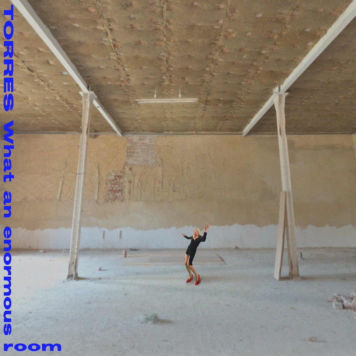 TORRES - What an enormous room