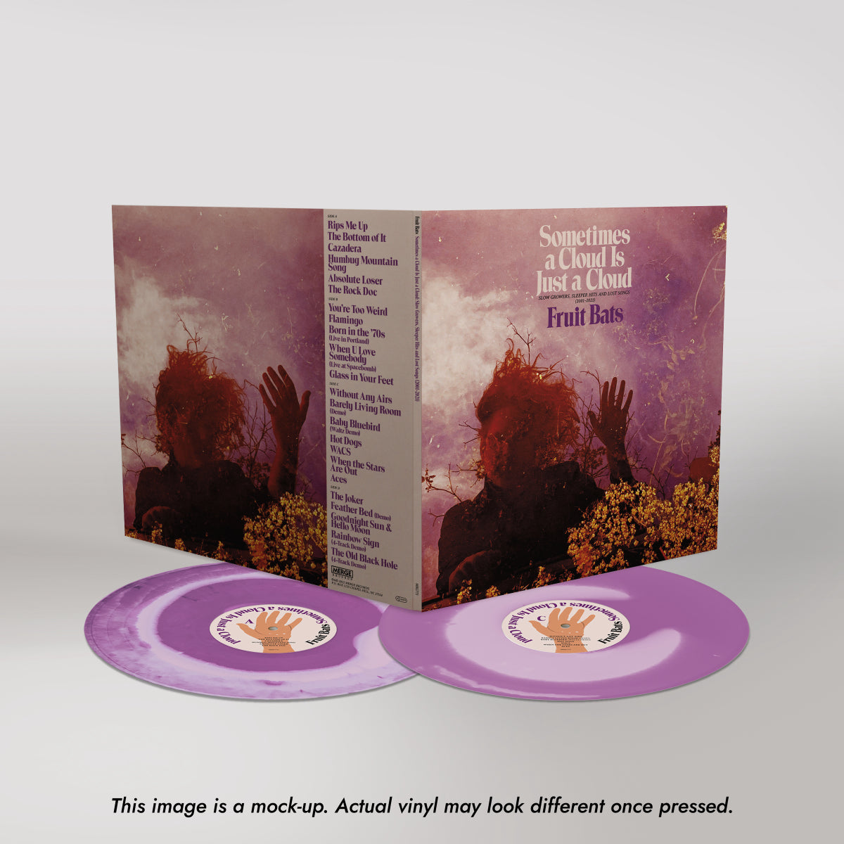 fruit bats sometimes a cloud front gatefold1_Disclaimer.jpg
