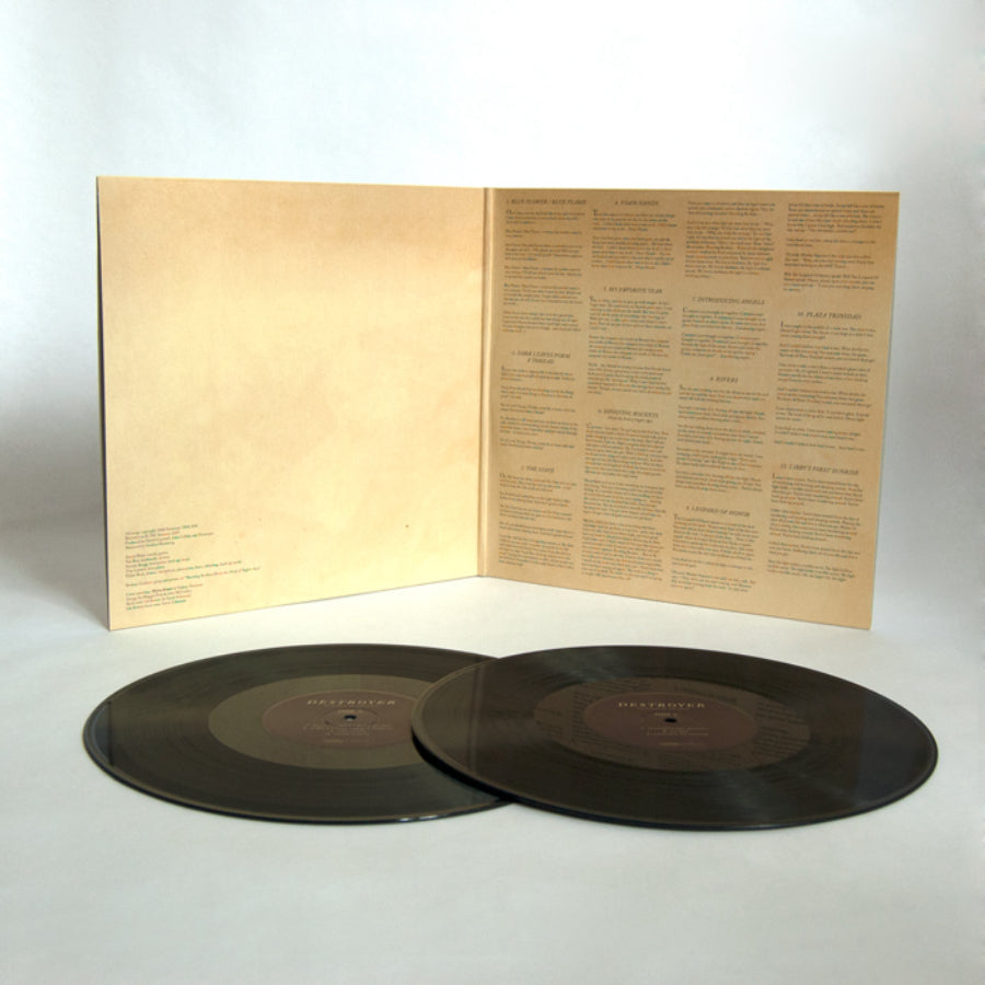 urlupload/https://www.mergerecords.com/stuff/contentmgr/files/0/eb1235090a2200d699a7c5493206d62f/image/319_destroyer_troubleindreams_lp2_700px.jpg