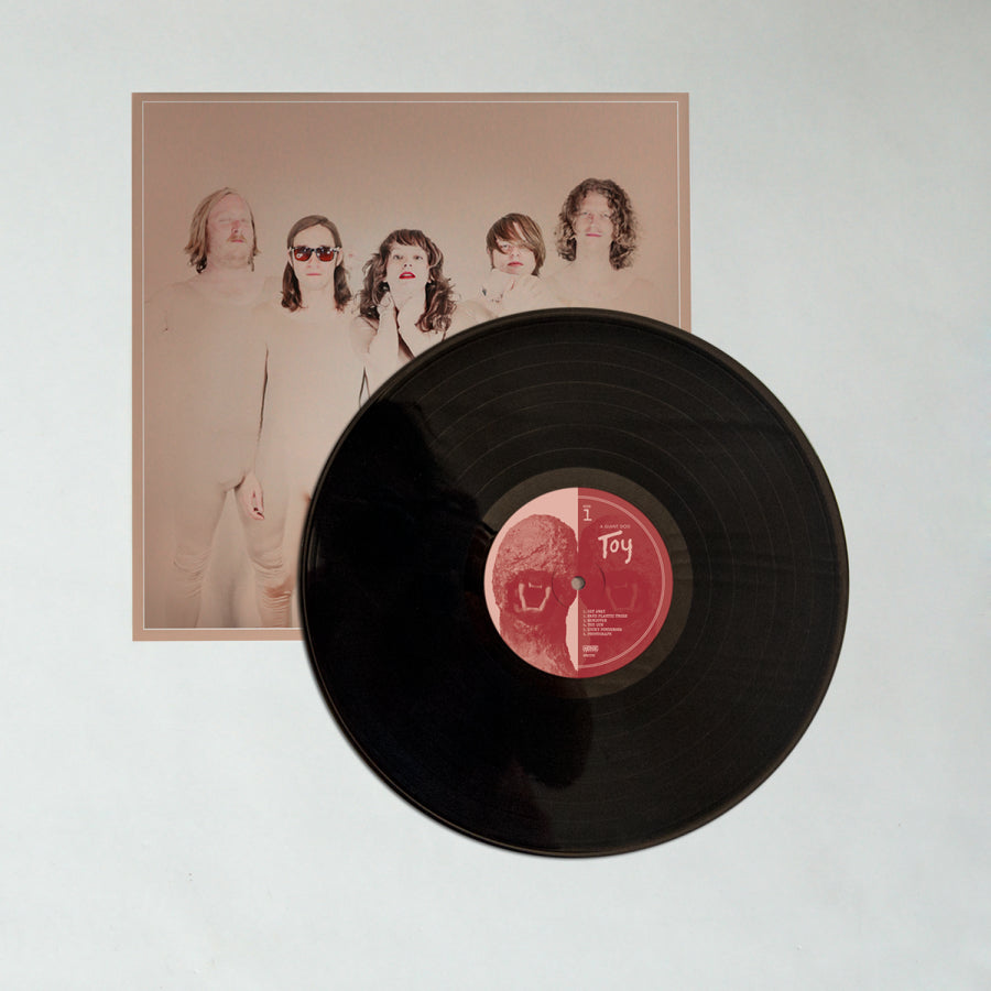 urlupload/https://www.mergerecords.com/stuff/contentmgr/files/8/1f7a8f88f326d803c16af4772521b130/image/592_agd_toy_lp3_1200px.jpg