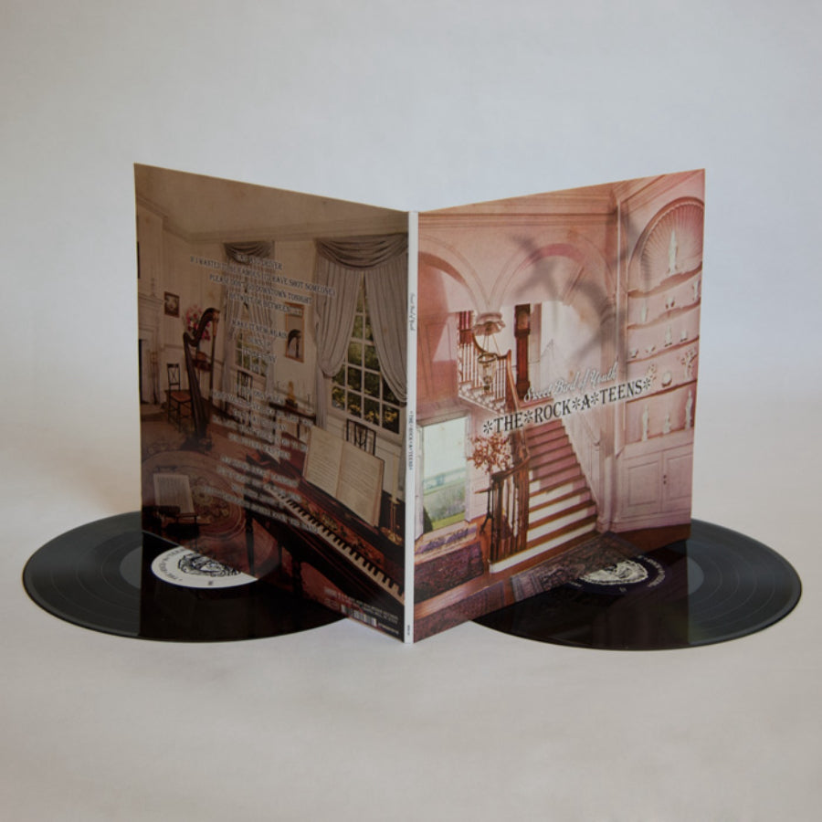 urlupload/https://www.mergerecords.com/stuff/contentmgr/files/5/9d40eb2edb908d346c5eb9b4eccc6163/image/181_rockateens_lp1_700px.jpg