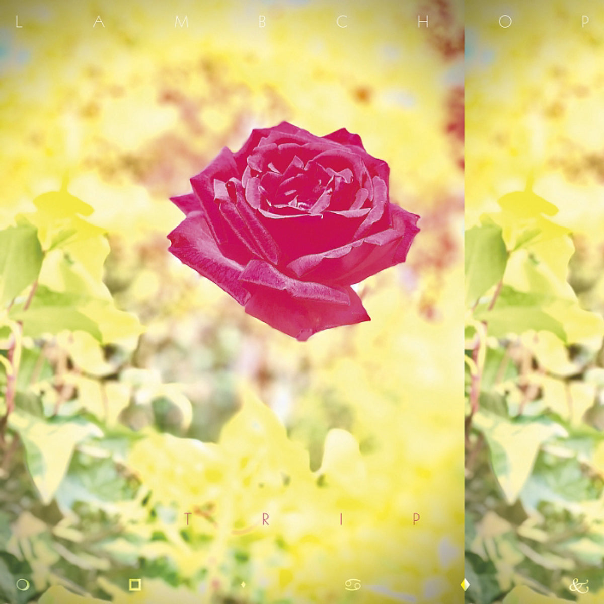 10_700_700_740_lambchop_trip_1400.jpg