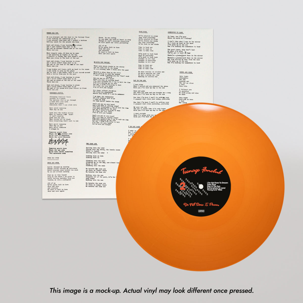 892_teenagefanclub_PV4_disclaimer.jpg