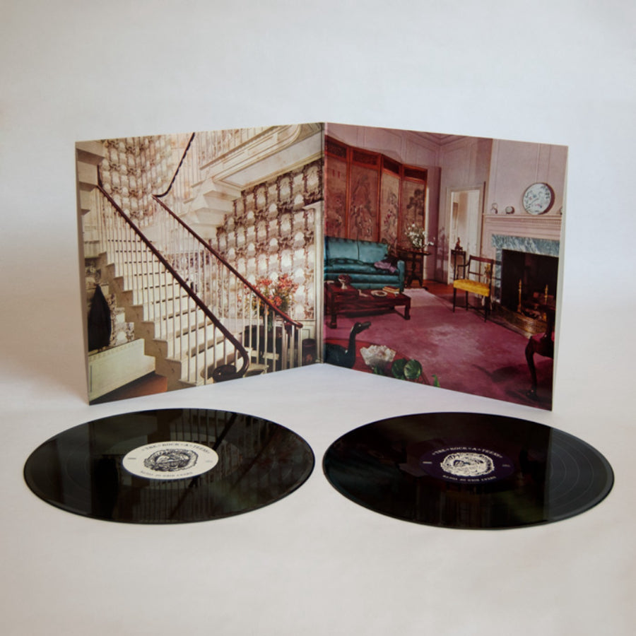 urlupload/https://www.mergerecords.com/stuff/contentmgr/files/5/9d40eb2edb908d346c5eb9b4eccc6163/image/181_rockateens_lp2_700px.jpg