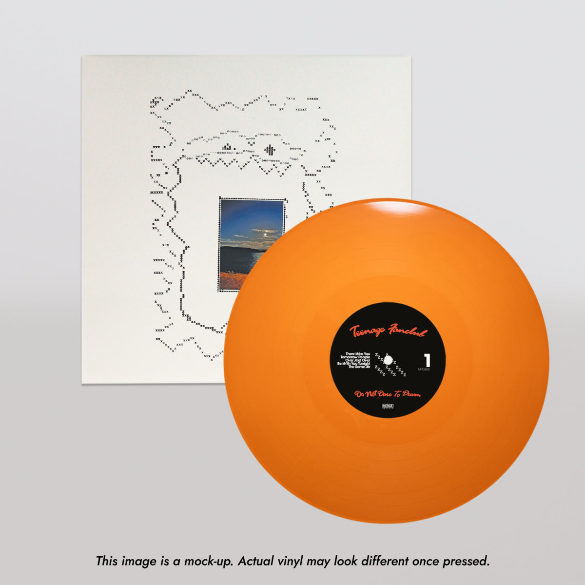892_teenagefanclub_PV3_disclaimer.jpg