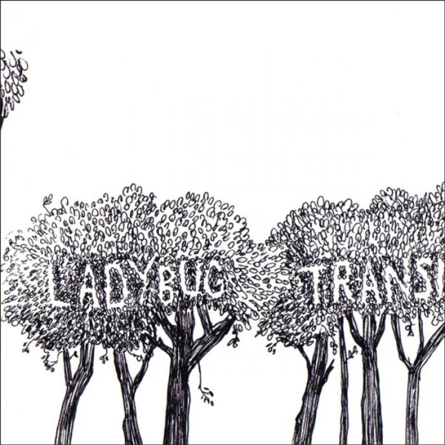 urlupload/https://www.mergerecords.com/stuff/contentmgr/files/0/92a2fd9ec969b871873be0a0455c6b2d/image/291_ladybug.jpg