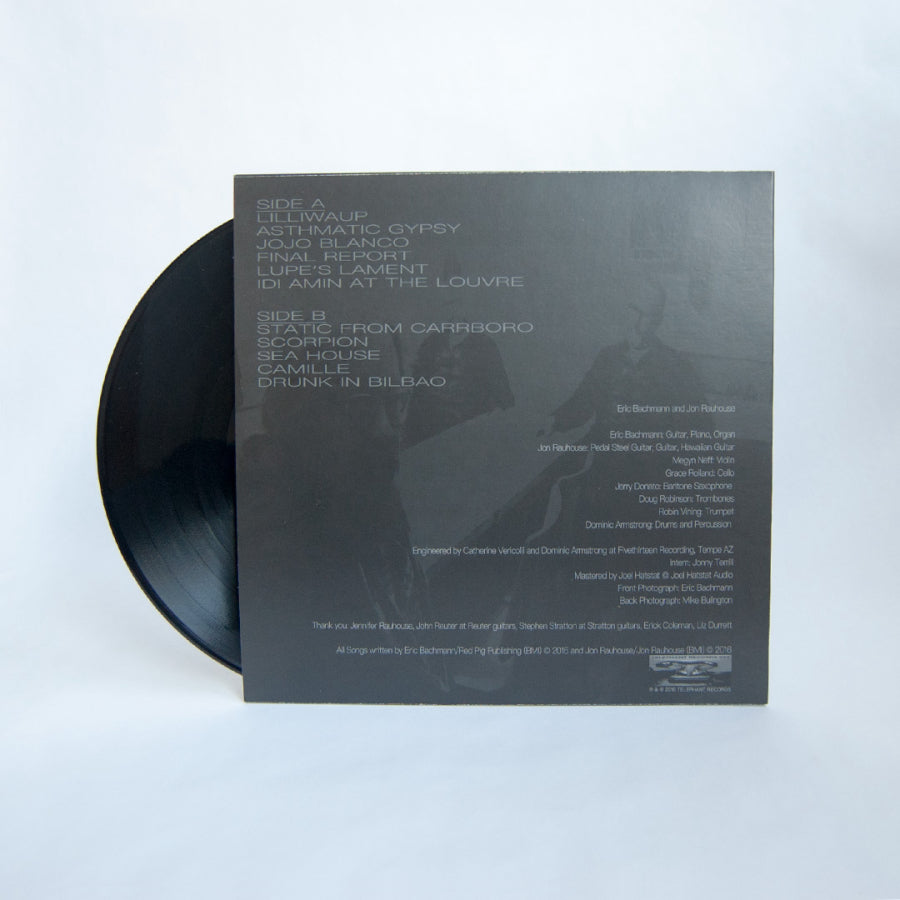 urlupload/https://www.mergerecords.com/stuff/contentmgr/files/8/1b8f22b8f46ab7b10536e5a600ea6fb7/image/bachmannrauhouse_lp2_1200px.jpg